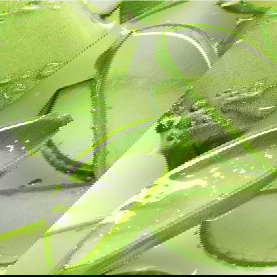 Foodaholic Nature Aloe Vera Toner - Miessential