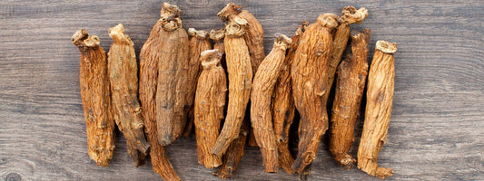 The Secrets of Korean Red Ginseng for Flawless Skincare Revealed