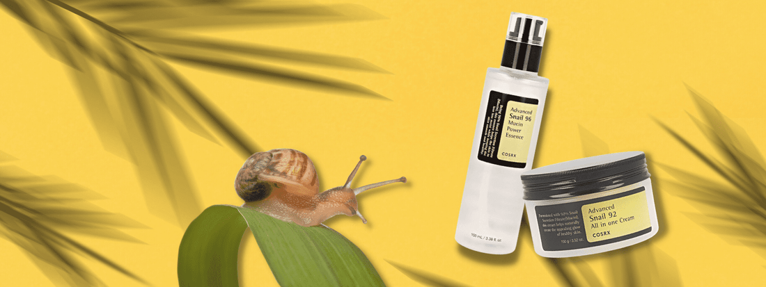 Snail Skincare: The Natural Solution for Radiant and Youthful Skin