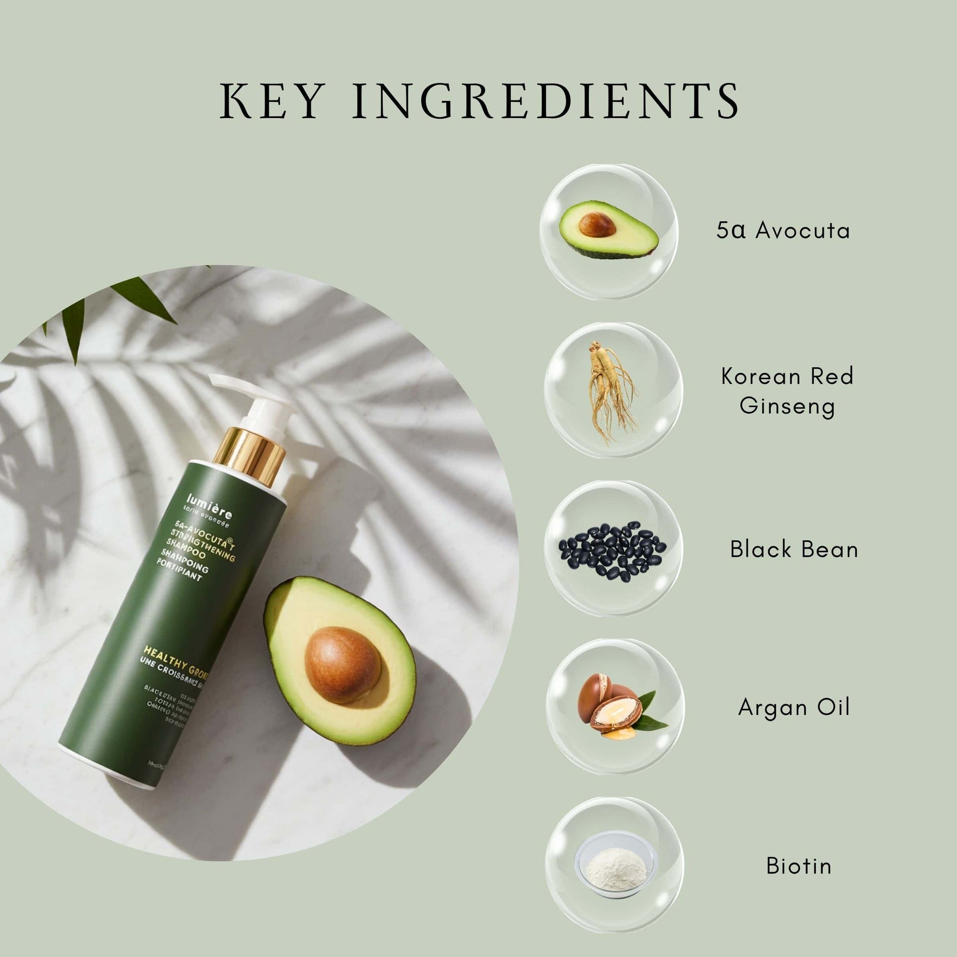 La Verne Lumiere 5α-Avocuta T Strengthening Shampoo & Conditioner